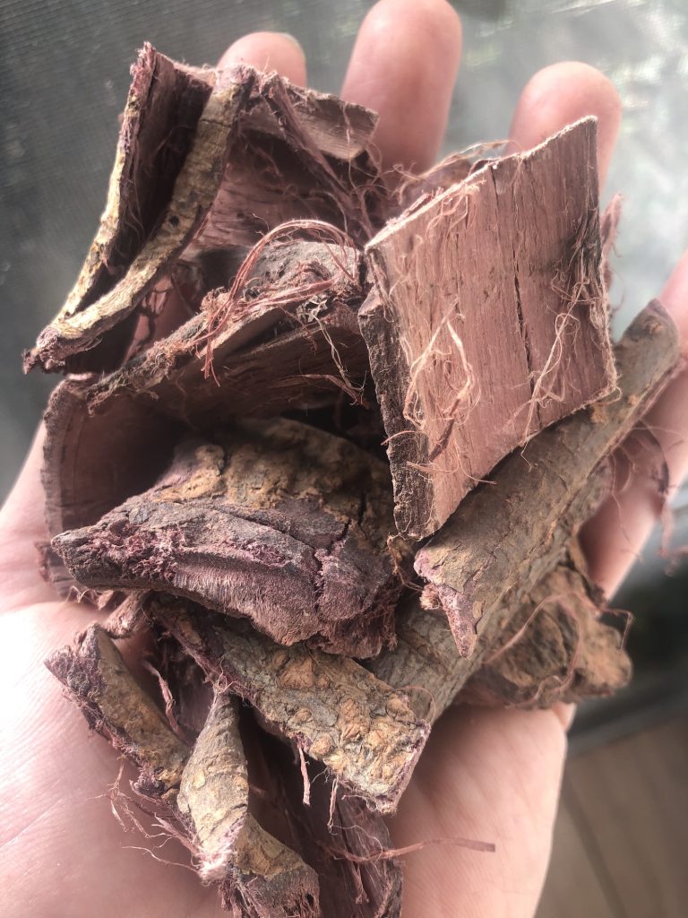 Hostilis Root Bark